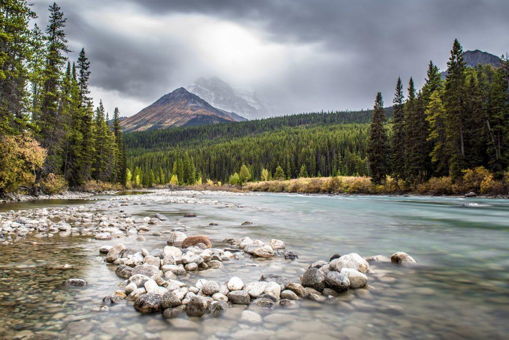A beautiful landscape of nature is something you will be surrounded by after moving to Calgary.