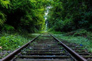 A road in the woods. 